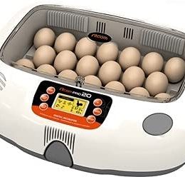 Incubators for sale