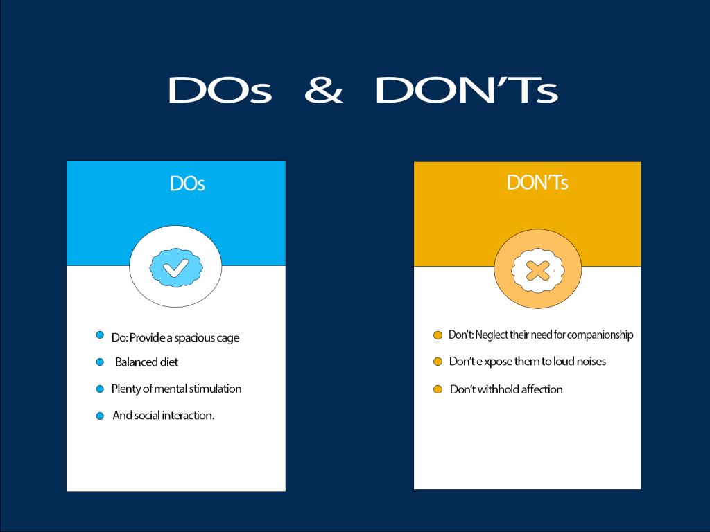DOS AND DONT